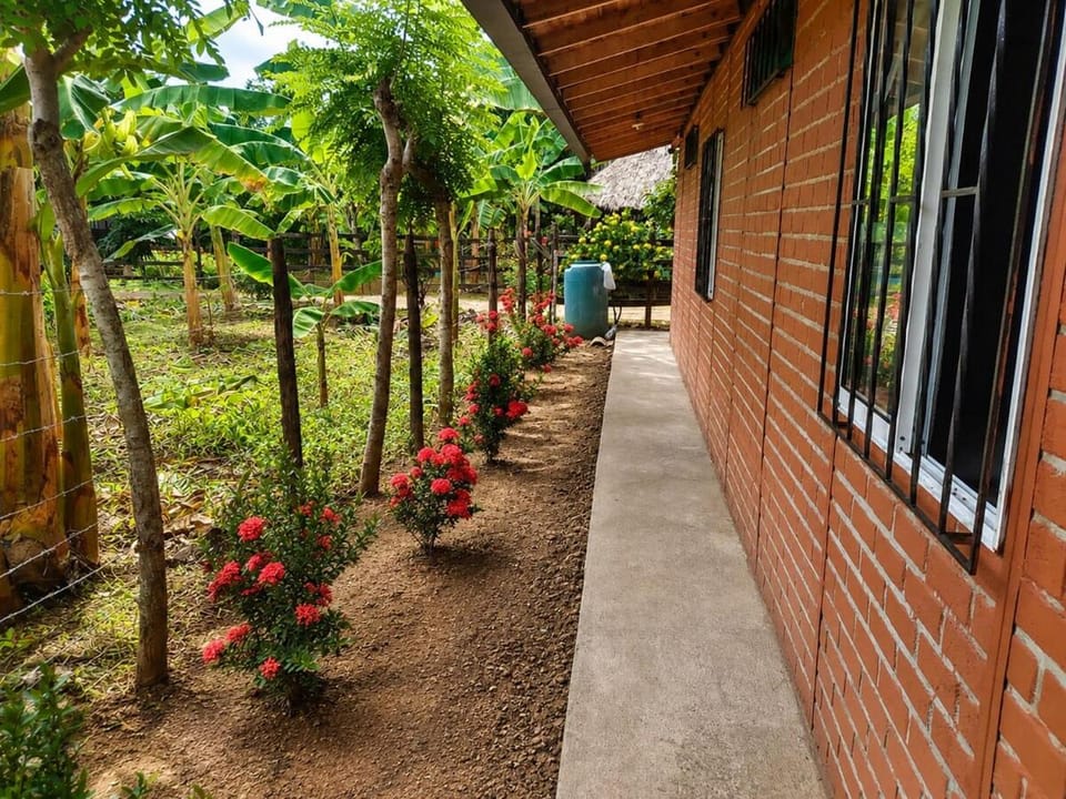 Garden, Garden