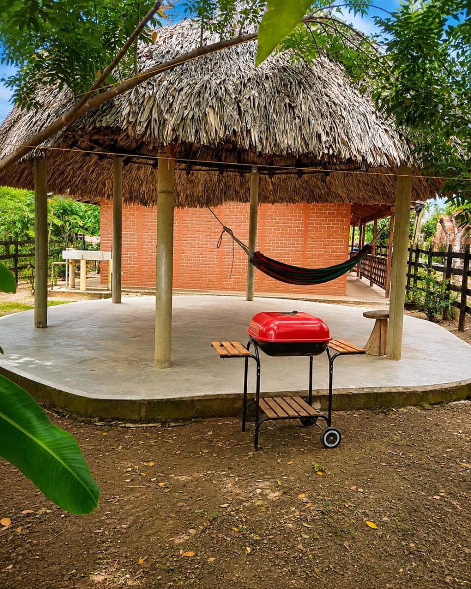 Living room, Lounge or bar, Area and facilities