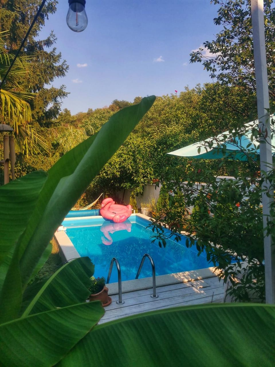 Pool view