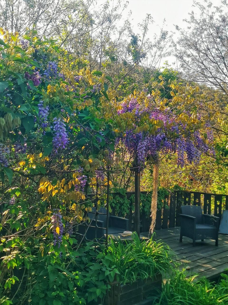 Garden, Garden