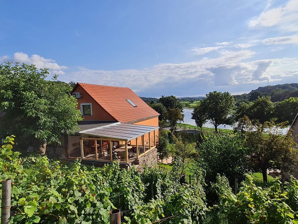 Ferienwohnung Riesling Apartment in Saxony
