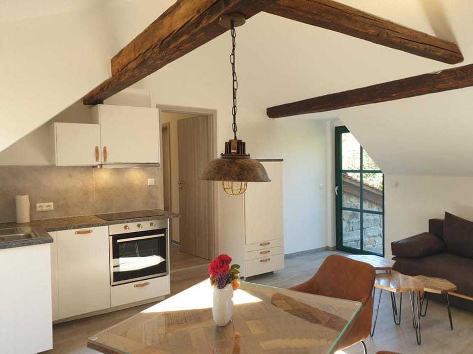 Ferienwohnung Phönix Apartment in Saxony