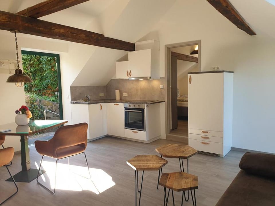 Ferienwohnung Phönix Apartment in Saxony