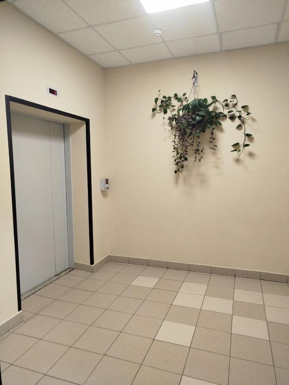 смарт квартира Apartment in Odessa