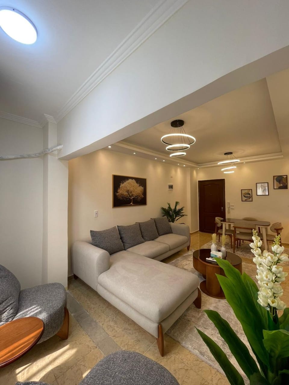 شقه مفروشه فرش فندقي في كمبوند روضه زايد Apartment in Egypt