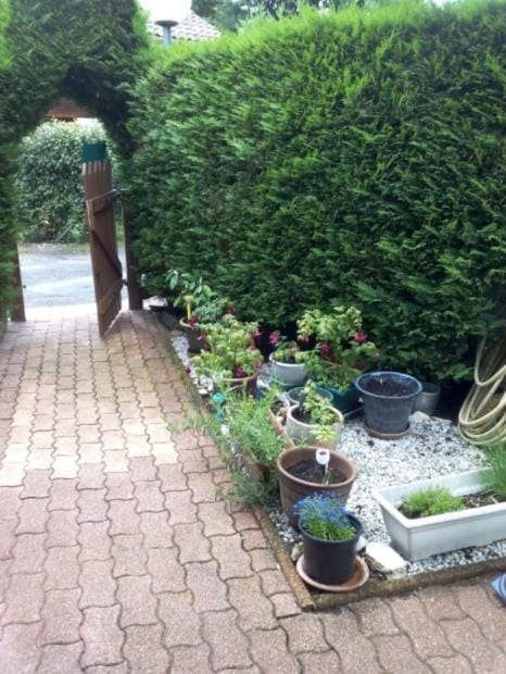 Cozy studio in a residential park with pool Apartment in Gujan-Mestras
