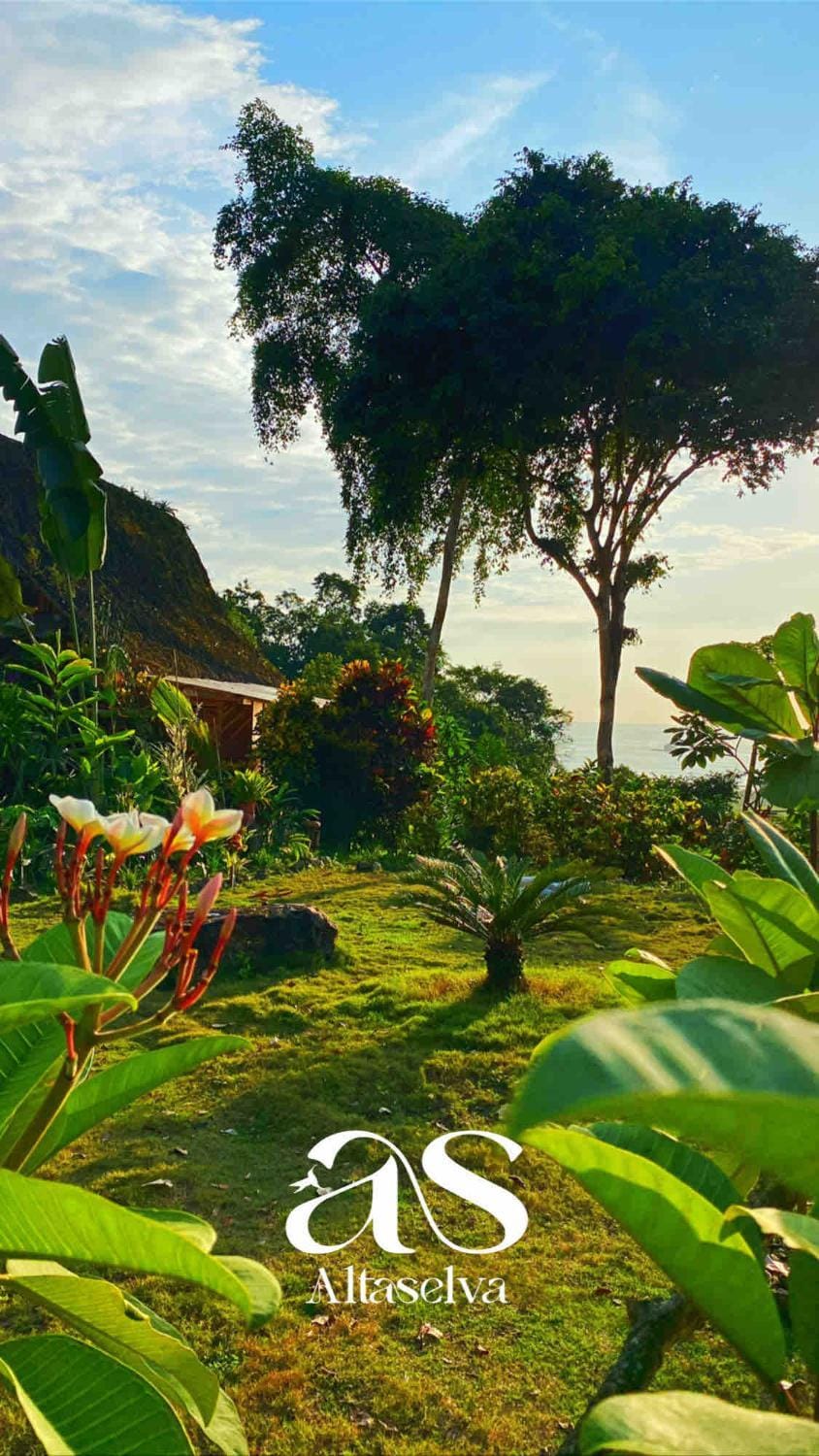 Cabin with incredible ocean and rainforest views Cabin in Manabí Province