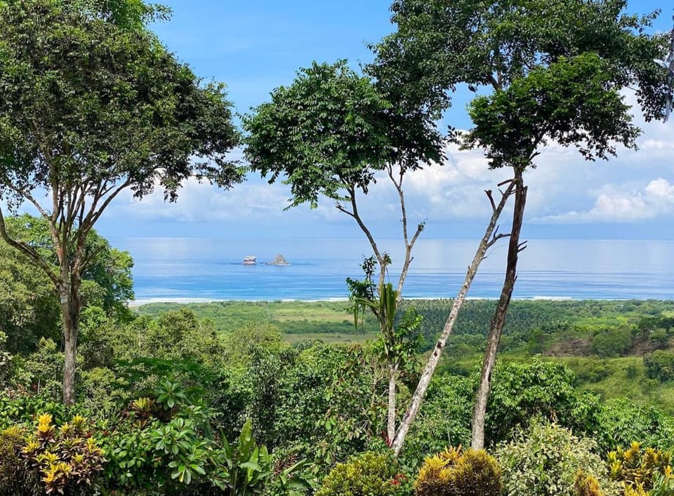 Cabin with incredible ocean and rainforest views Cabin in Manabí Province