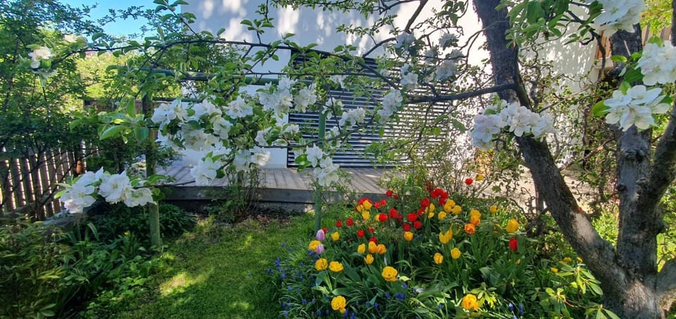 Beim Birnbaum Apartment in Innsbruck