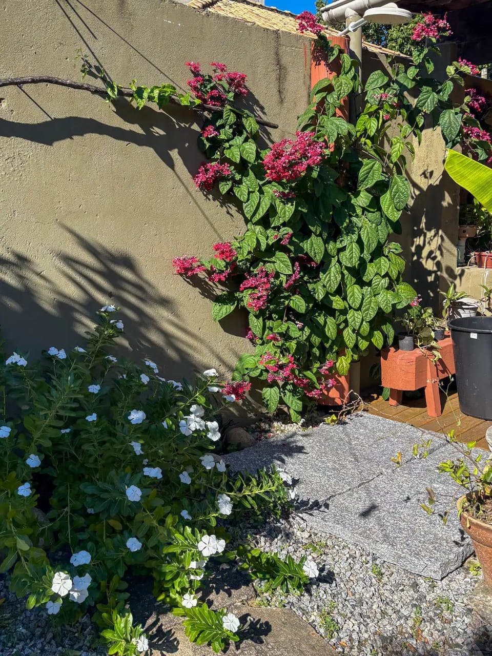 Shower, Garden, Garden view
