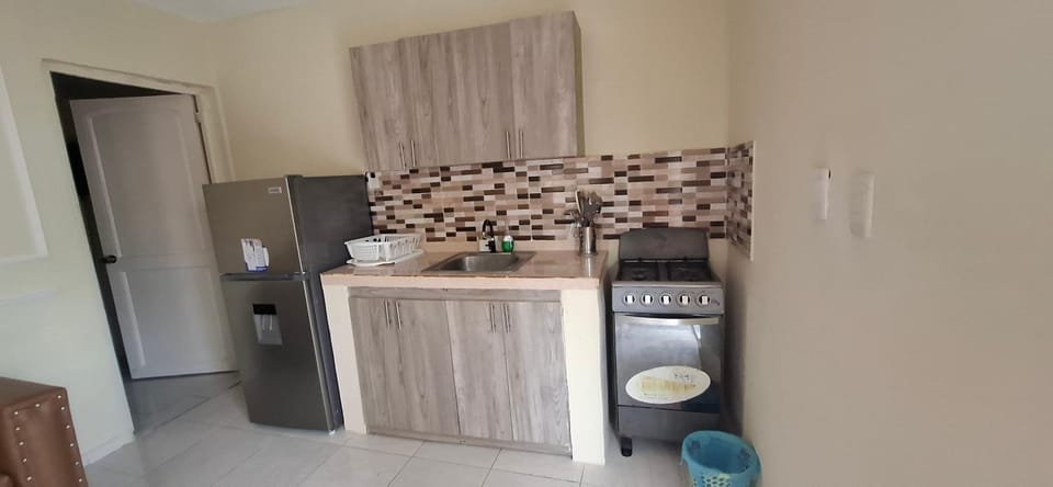 Yelena 2 Apartment Apartment in Boca Chica