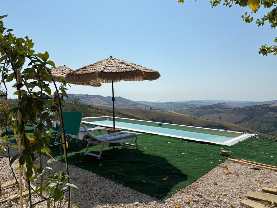 Natural landscape, Pool view, Swimming pool, sunbed
