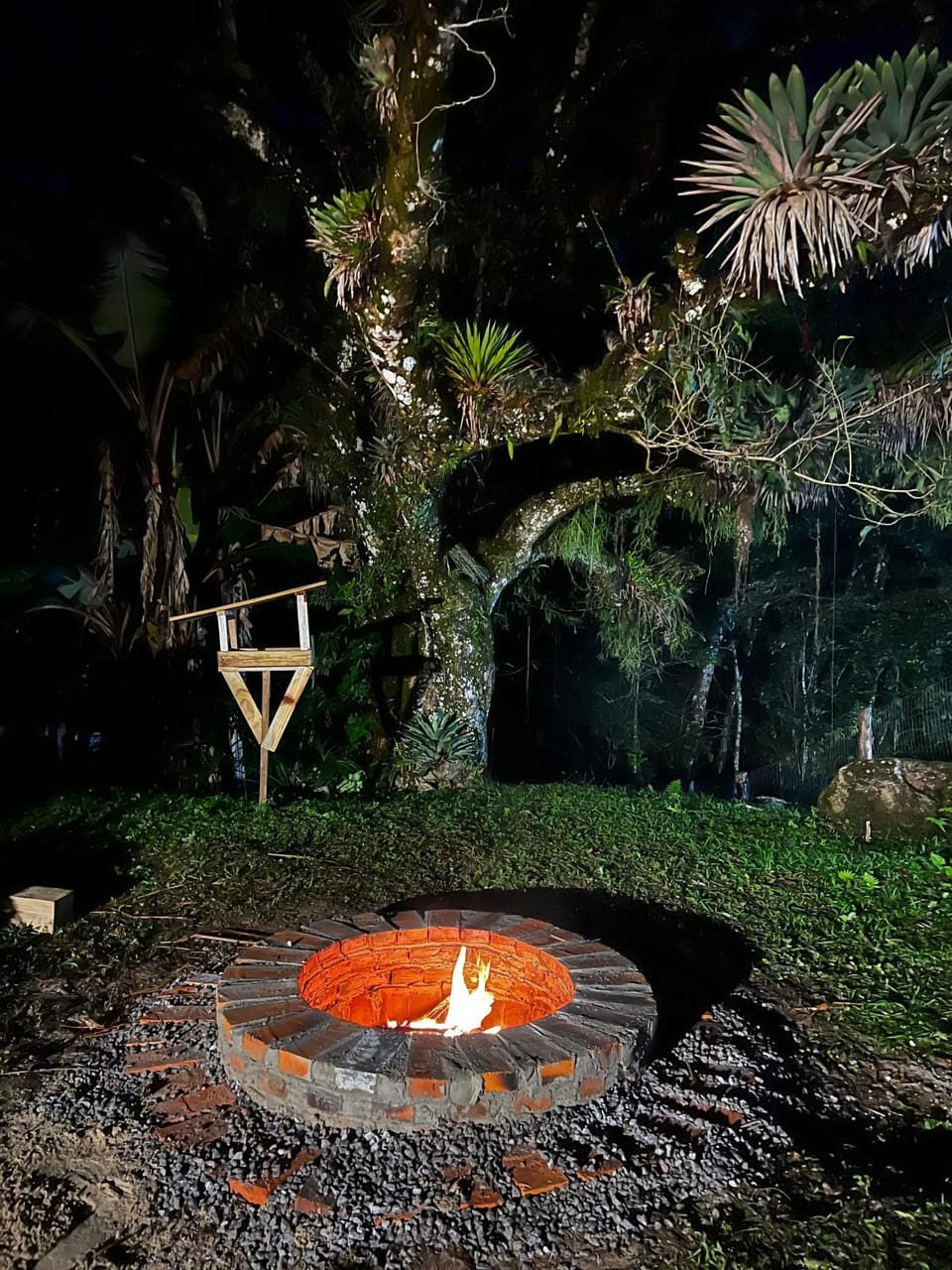 Night, Garden, Garden view