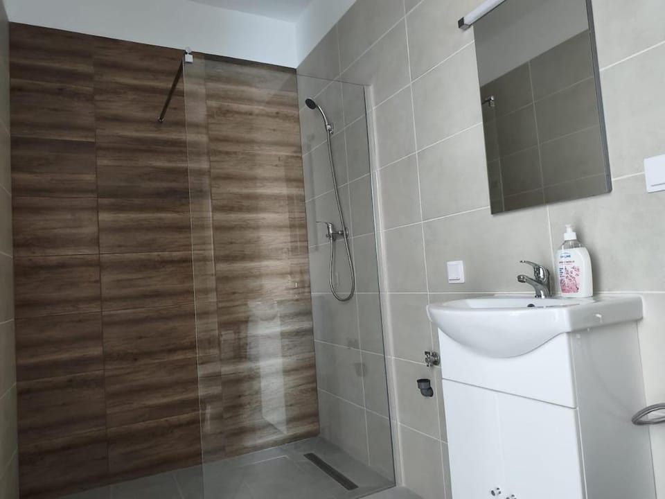 Gabriela Apartment Apartment in Sibiu