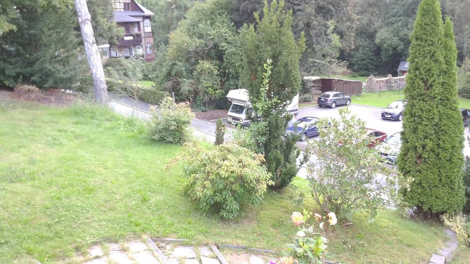 Garden view