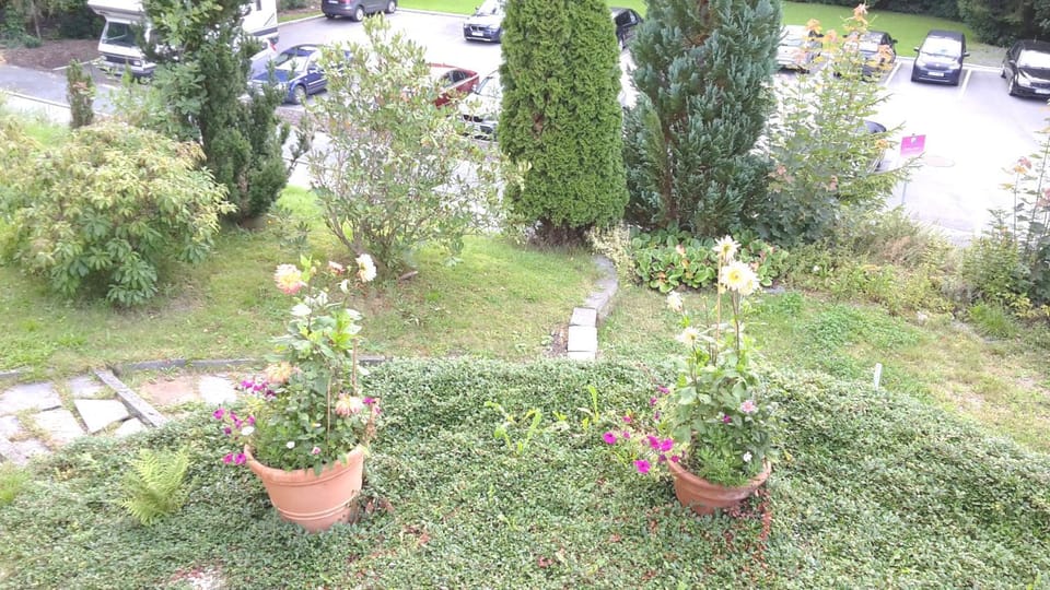 Garden view