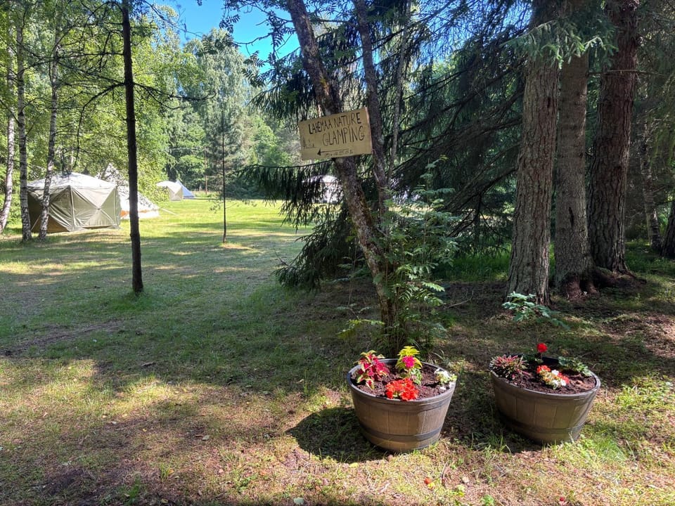 Lahemaa Nature Glamping - Haru Luxury tent in Harju County, Estonia
