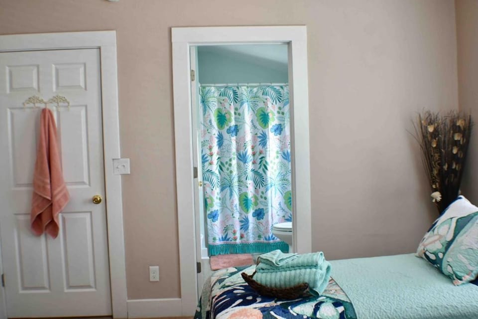 Cozy and Comfy 2BR 2BA Apt Easy Walk to Historic Downtown Apartment in Saint Augustine