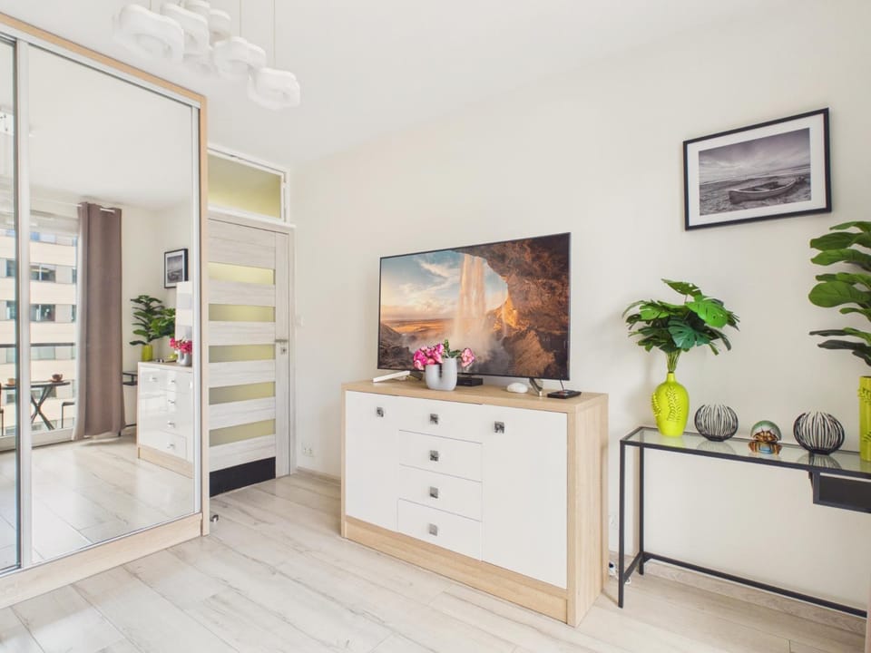 TV and multimedia