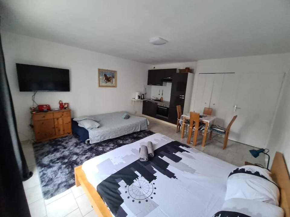 Le Beaujardin coloré Apartment in Tours