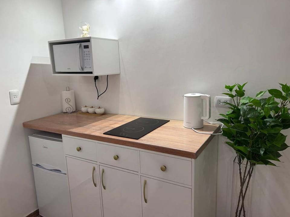 Mango Apartment in Misiones Province, Argentina