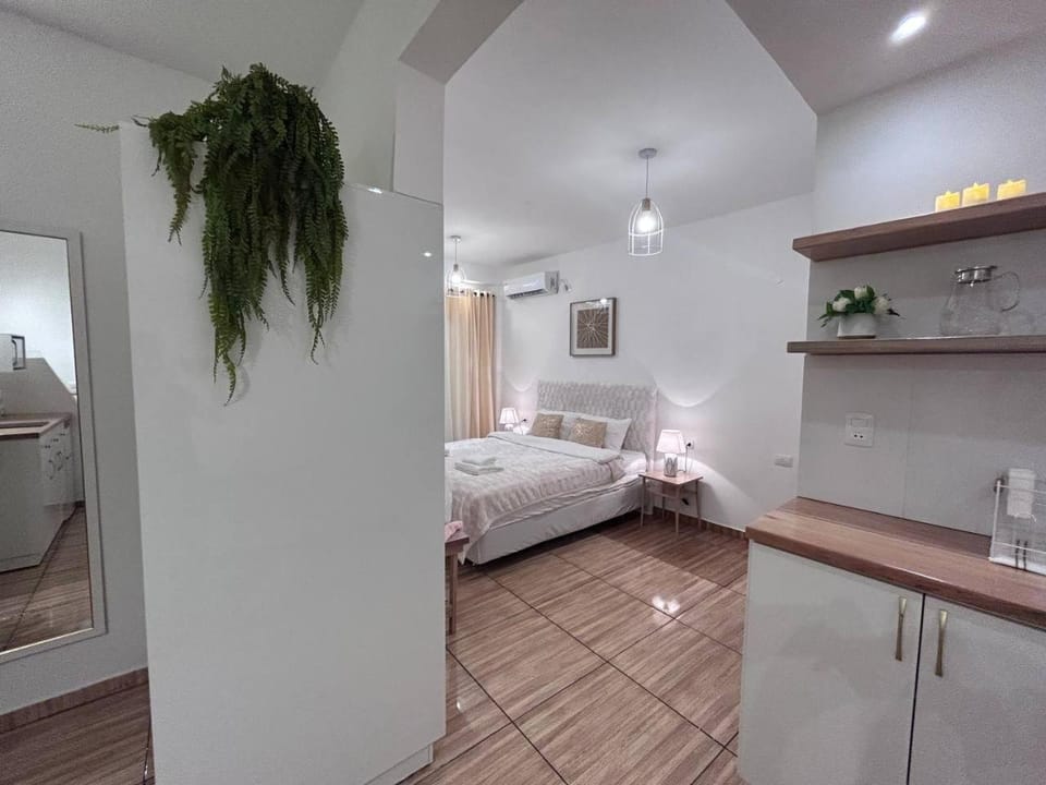 Mango Apartment in Misiones Province, Argentina