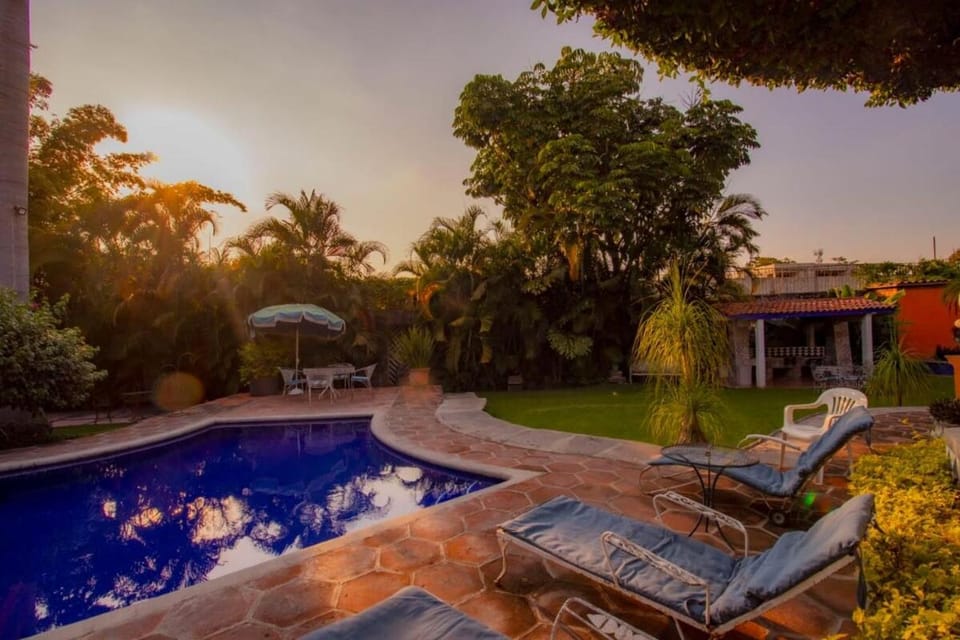Garden, Garden view, Swimming pool, Swimming pool