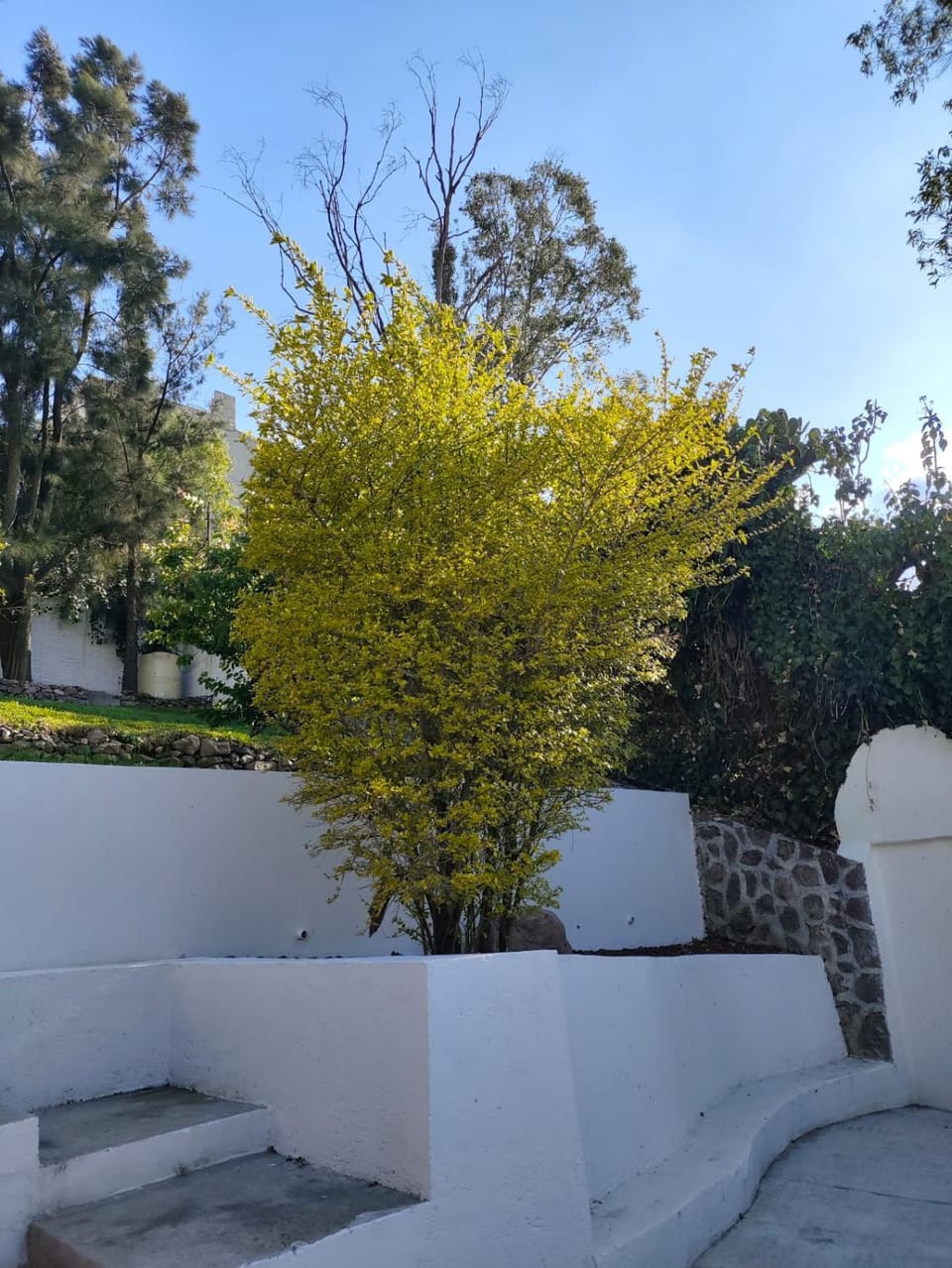 Residencia Las Águilas Villa in Mexico City
