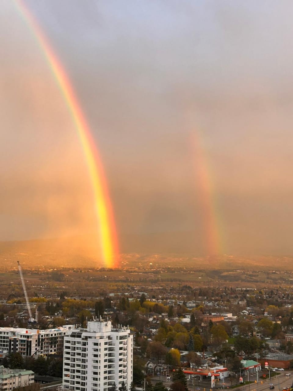Rooftop Infinite Pool Iconic Lakeview Downtown Signature 2-Bedroom Loft Apartment in Kelowna