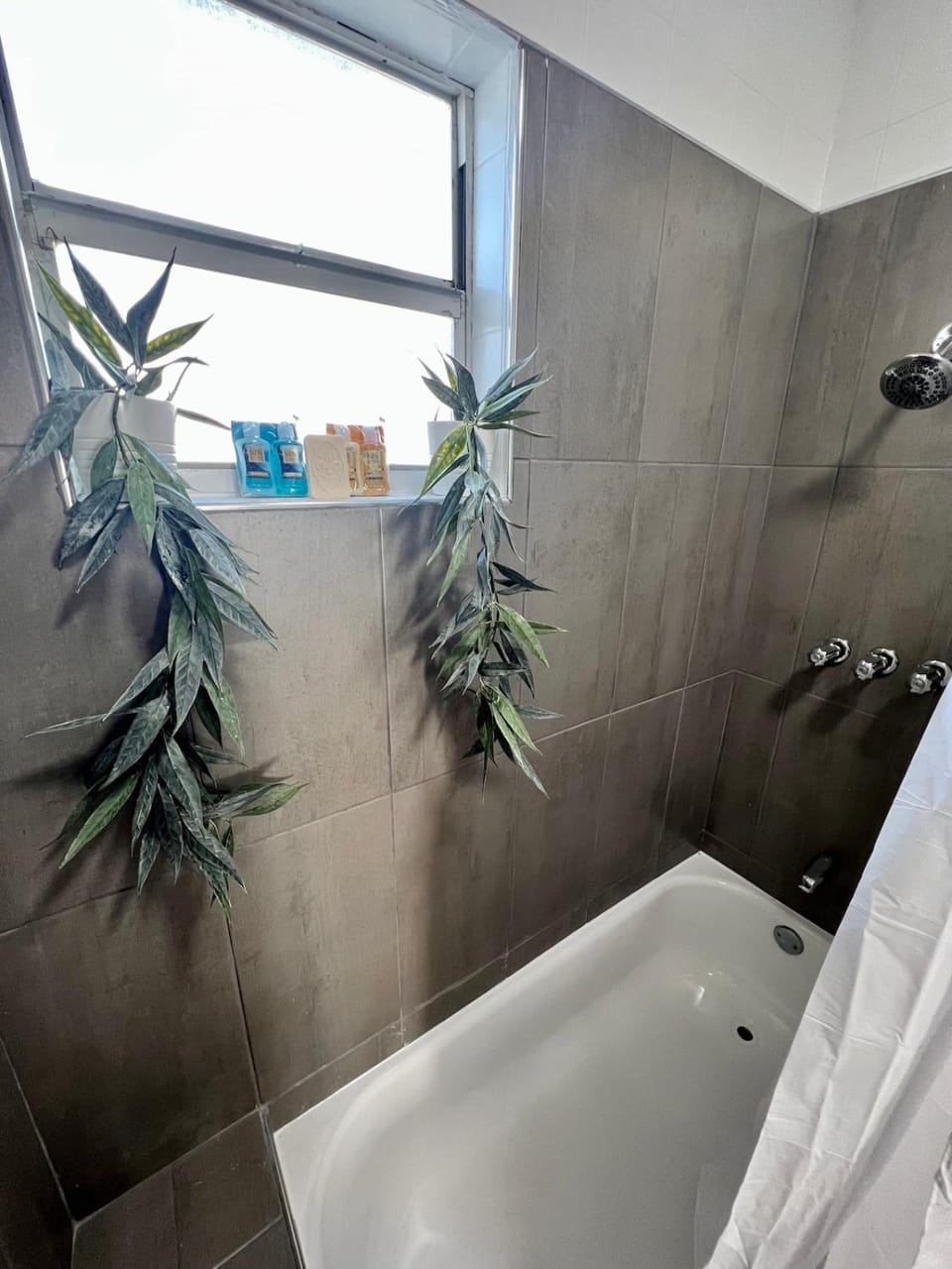 Lovely Home Near Calle 8 and Brickell Apartment in Coral Gables