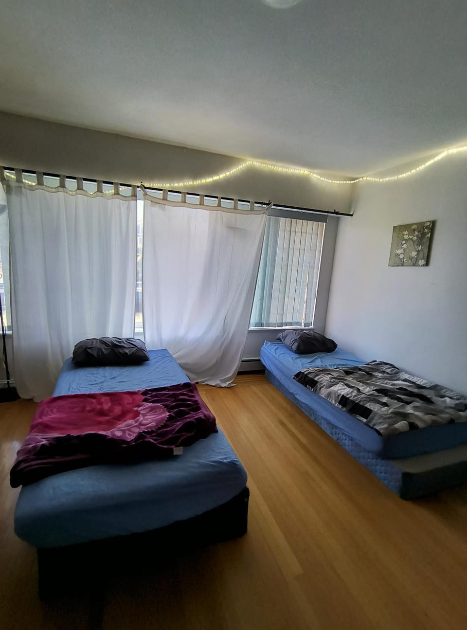 Central Vancouver Guest House - Airport & Downtown 15 Min, Free Parking Vacation rental in Vancouver