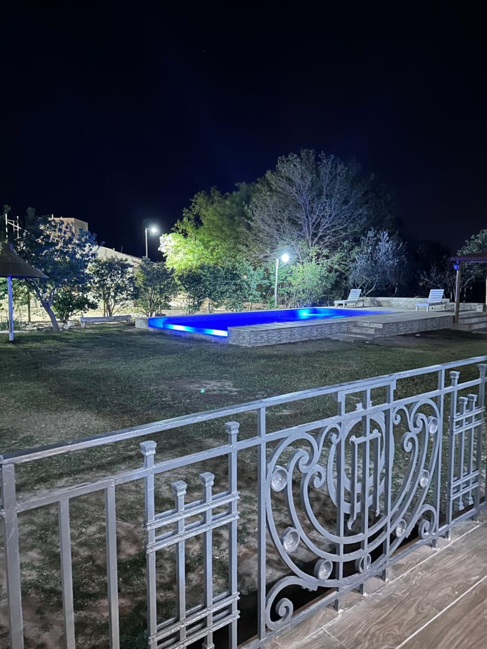 Garden view