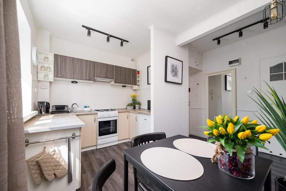 Kitchen or kitchenette, Dining area, oven, stove