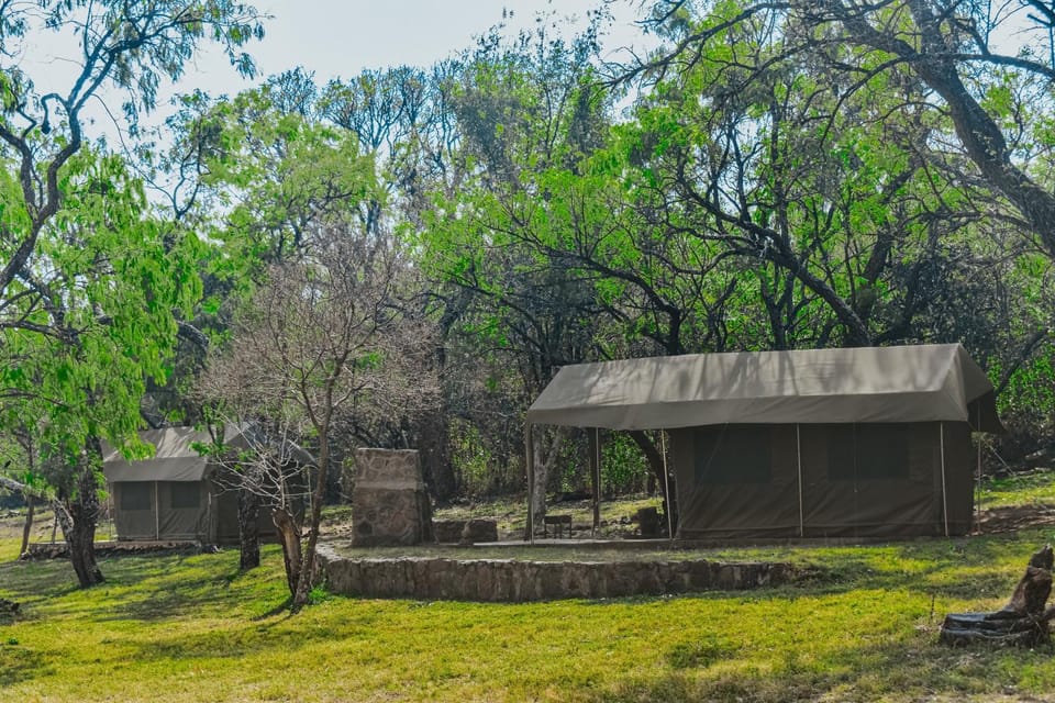 Appaloosa Luxury Glamping Tent near Cullinan Luxury tent in Gauteng