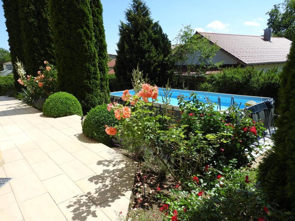 Garden, Garden view, Swimming pool