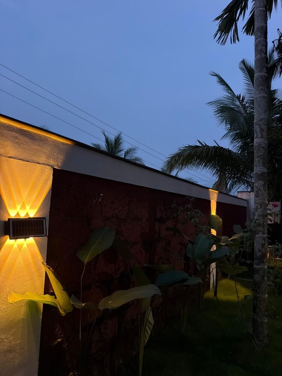 Night, Garden, Garden view