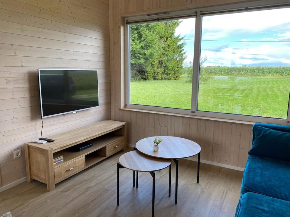 TV and multimedia
