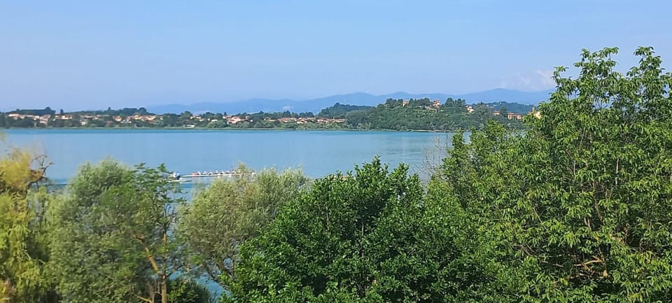 Lake view