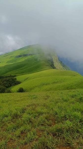 Antique bee tee homestay Vacation rental in Karnataka