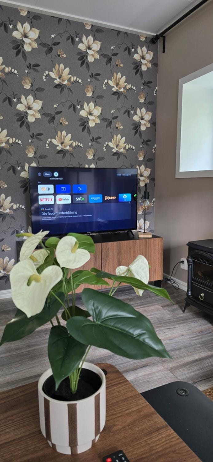 TV and multimedia