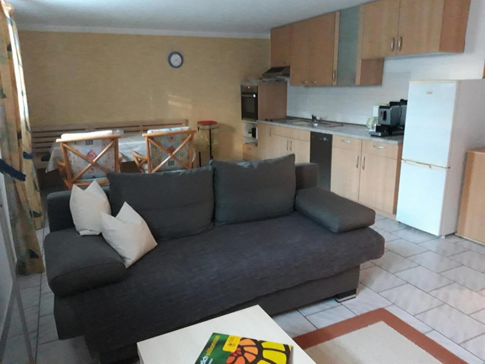 Kitchen or kitchenette, Living room, Seating area, Dining area, stove