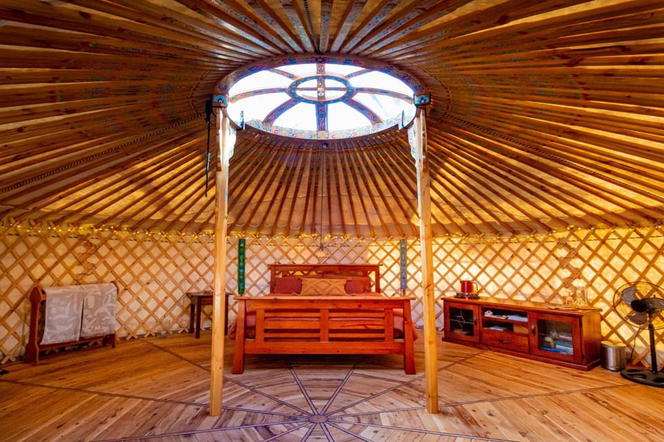 Purling Brook Falls Gwongorella Luxury tent in Springbrook