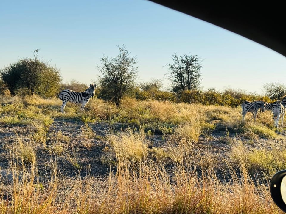 Sans Excursions Mobile Safari camp Luxury tent in Africa