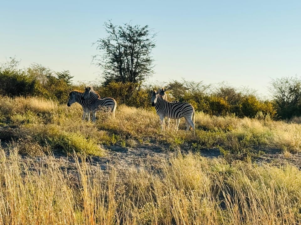 Sans Excursions Mobile Safari camp Luxury tent in Africa