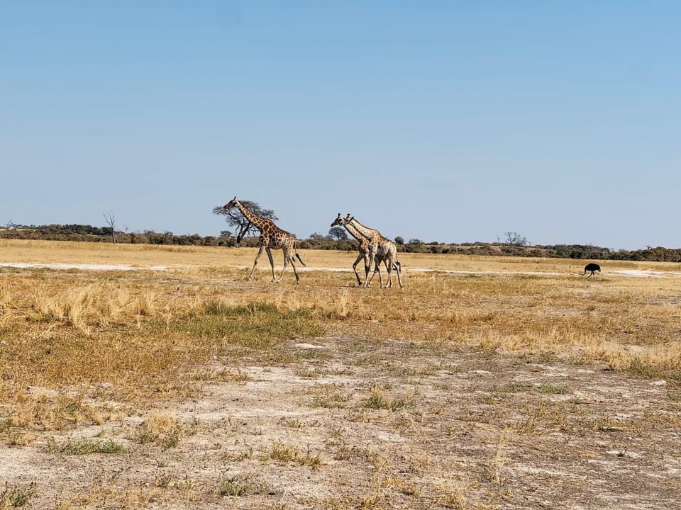 Sans Excursions Mobile Safari camp Luxury tent in Africa