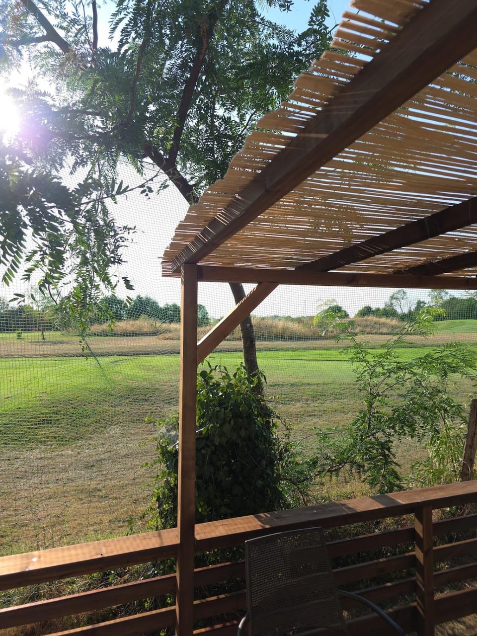 Garden view