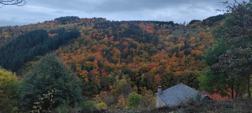 65ha de nature privatisée, authenticité en Haute Ardèche 10 à 14 personnes House in Provence