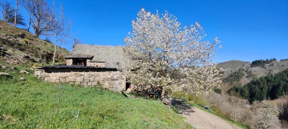 65ha de nature privatisée, authenticité en Haute Ardèche 10 à 14 personnes House in Provence
