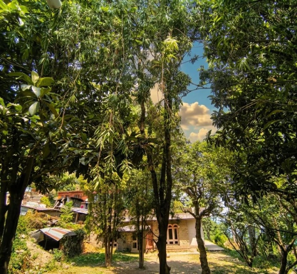 Mountain view