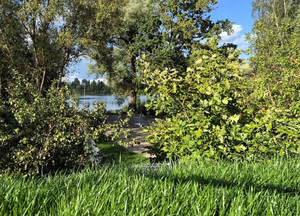Lake view